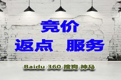 案例分析：SEM广告助力电商行业突破